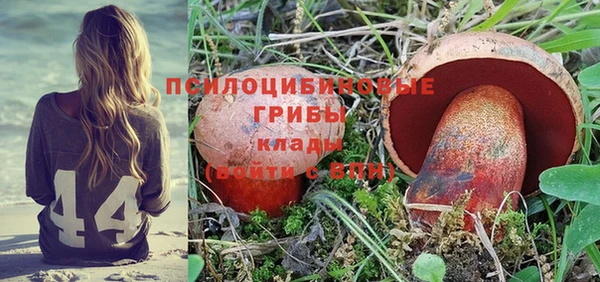 ГАЛЛЮЦИНОГЕННЫЕ ГРИБЫ Алексин