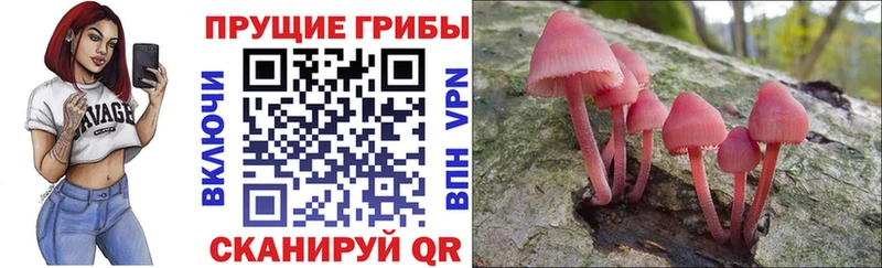 МЕГА онион  Биробиджан  Галлюциногенные грибы Magic Shrooms 